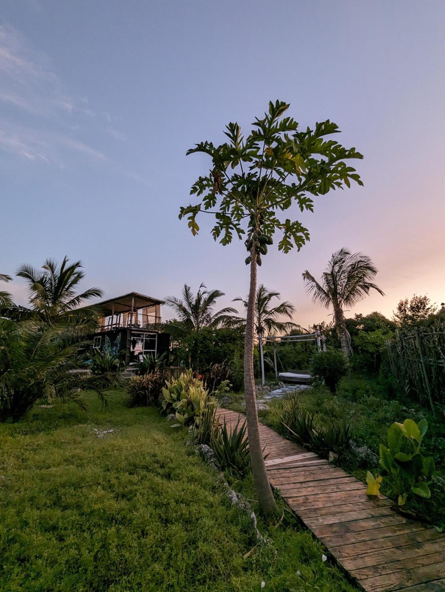 Jambiani Backpackers Hostel エクステリア 写真