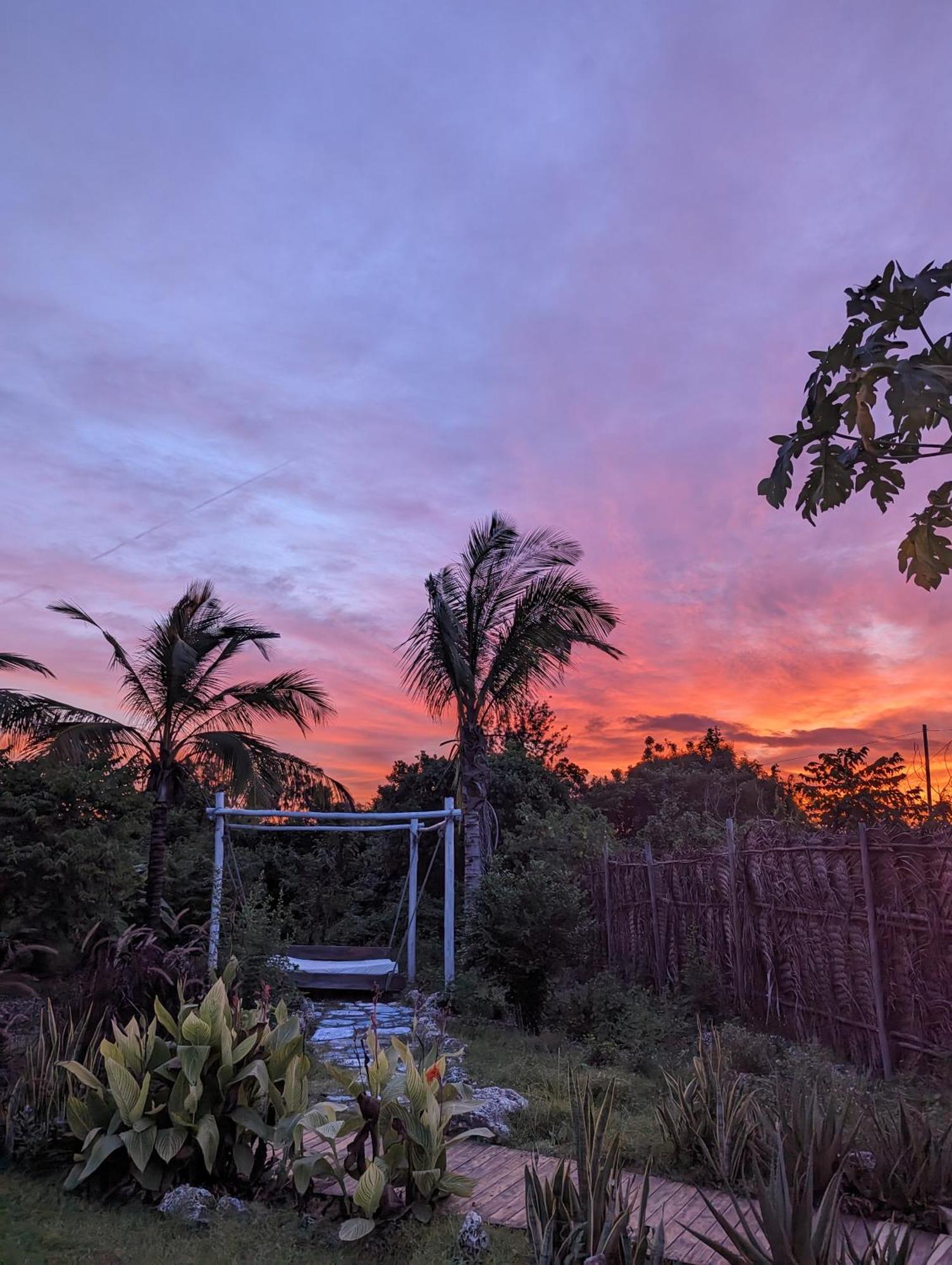 Jambiani Backpackers Hostel エクステリア 写真