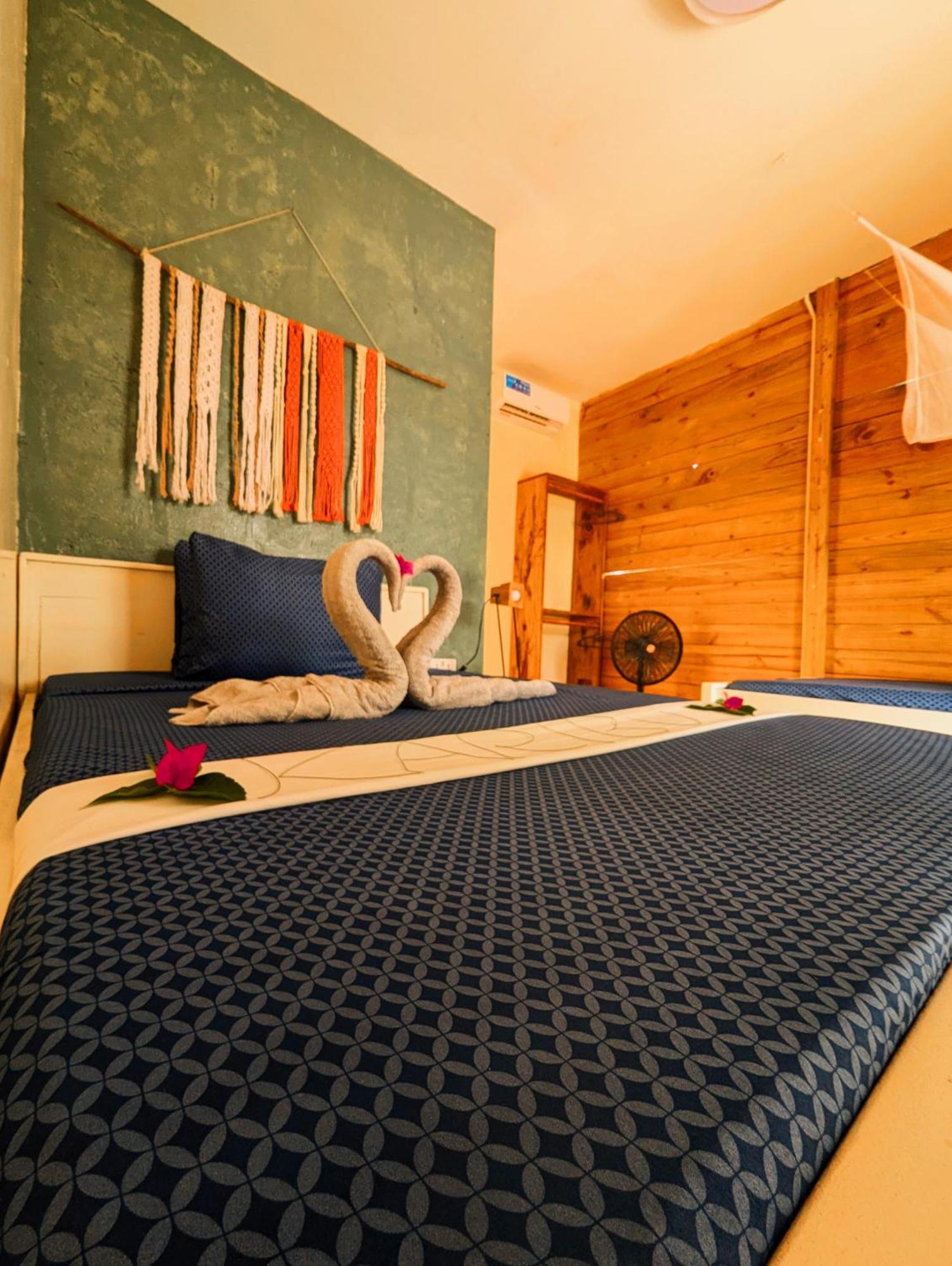 Jambiani Backpackers Hostel エクステリア 写真